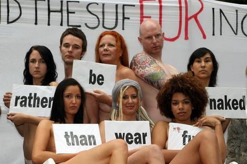 Обнажаться лучше, чем носить мех - глобальное движение Going Naked Is Better Than Wearing Fur – Global Movement