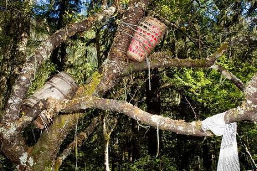 ТОП 10 самые странные похоронные обрядыПривязанный к дереву Tree-Bound