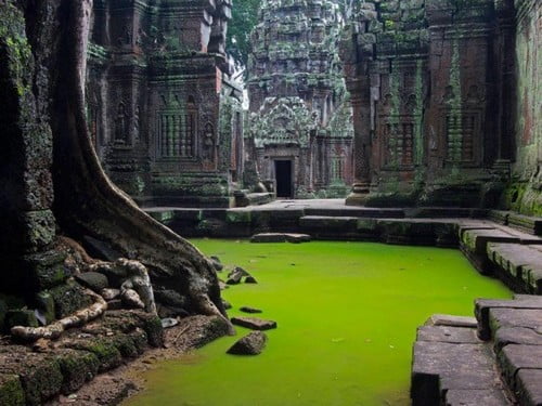10 Потрясающих фотографий красивых мест по всему мируХрам Та Пром, Камбоджа Cambodia