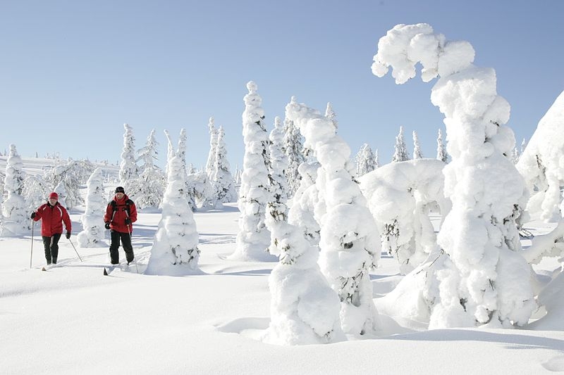 10 Мест, Которые Выглядят ВоображаемымиЛапландия, Финляндия Lapland, Finland