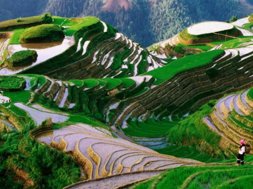 10 Потрясающих фотографий красивых мест по всему мируРисовые поля с террасами, Пинъань, Китай ( Ping’an, China )