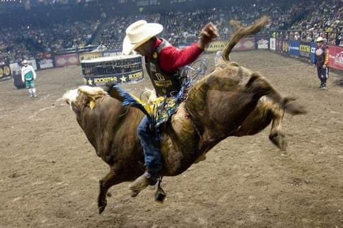 10 Самых опасных видов спорта - Экстремальные виды спорта в миреВерховая езда на быках Bull Riding
