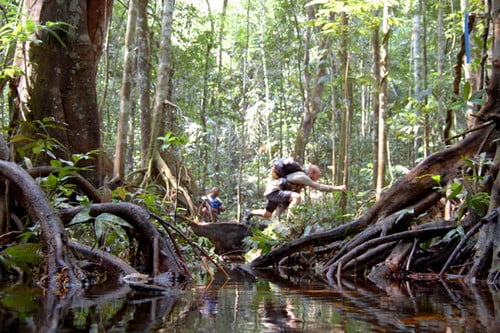 Топ 10 самых сложных беговых соревнований в миреМарафон в джунглях